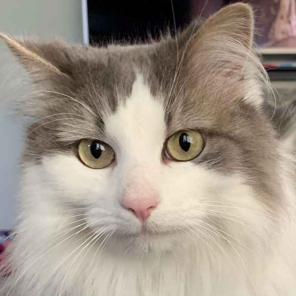 meet your posher, Me!! - Picture 5 of 5